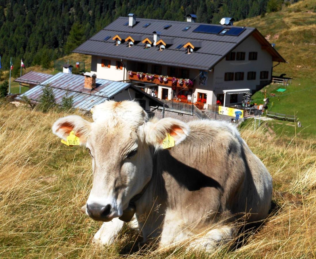 Rifugio Capanna Passo Valles Falcade Exterior foto